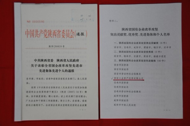 2009年2月，，，，，，被陕西省委、省政府授予陕西省国有企业刷新攻坚先进整体