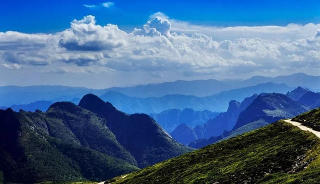 【情形保；；；ぁで亓胛ソā壳亓胛ソū鹗:总书记扭住不放才得以彻底整治